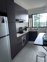 Hillcrest Arcadia (D11), Condominium #584939741